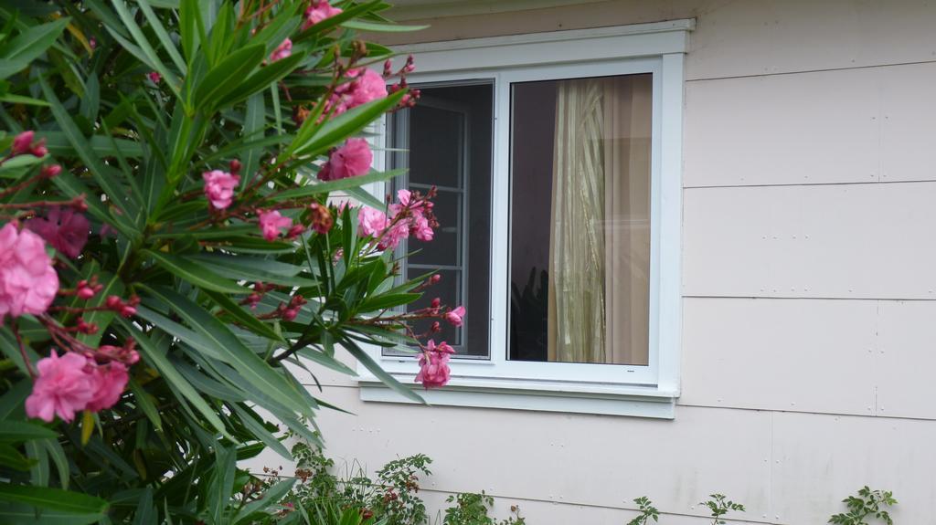Ponta Delgada Azores Garden House - Private Suites & Apartments - Automatic Self Check-In מראה חיצוני תמונה