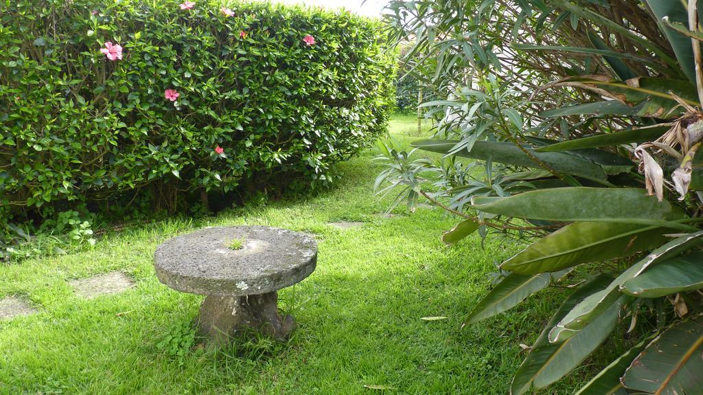 Ponta Delgada Azores Garden House - Private Suites & Apartments - Automatic Self Check-In מראה חיצוני תמונה