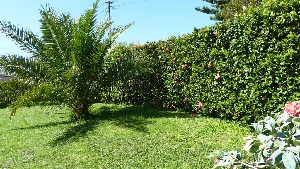 Ponta Delgada Azores Garden House - Private Suites & Apartments - Automatic Self Check-In מראה חיצוני תמונה